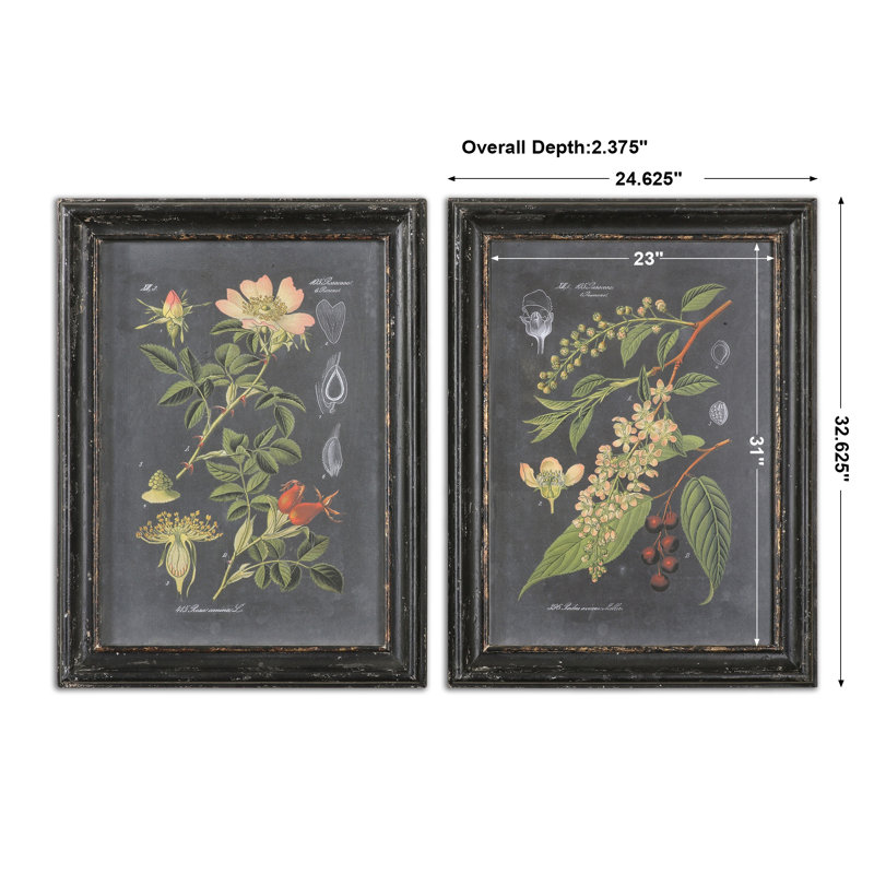 Midnight Botanicals by Vision Studio