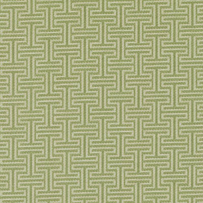 Dorsoduro Meandros Fabric