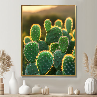 Marjona cactus dans la lumière du matin II - Cactus, art mural