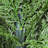 Artificial Cedar Topiary-1255344779