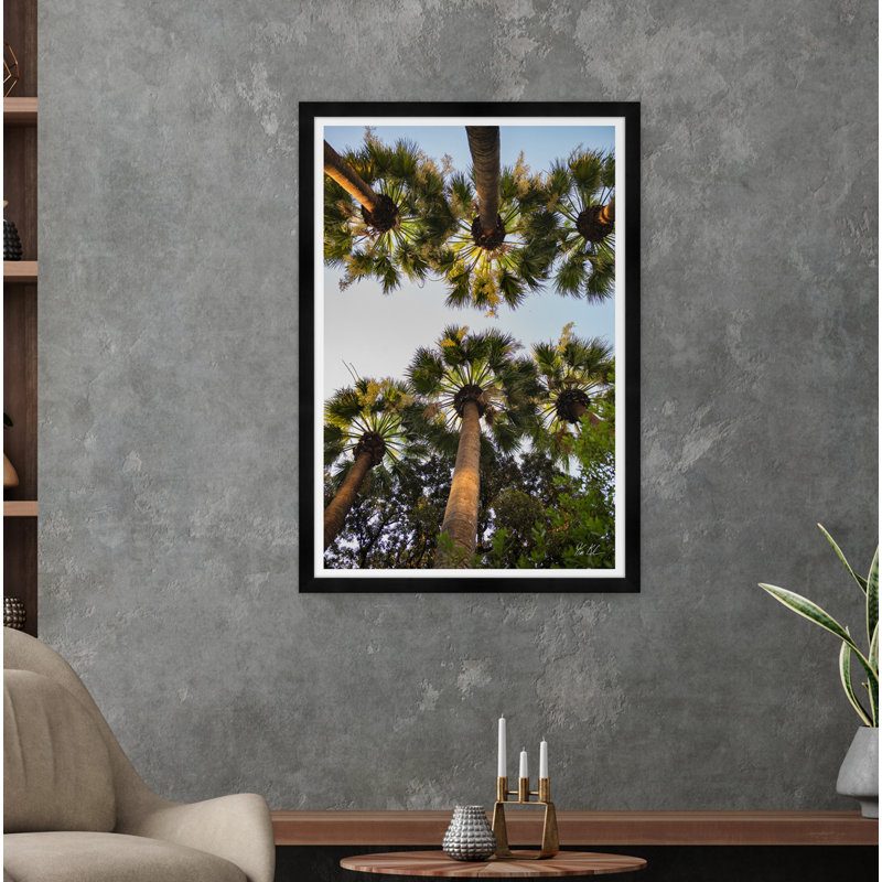 «Athens Palm II» par Tim Klein - Photographie avec cadre