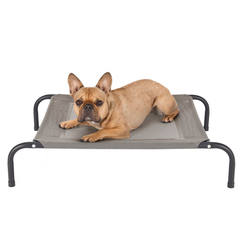 Elevated Cot Pet Bed, 8" H x 25.5" W x 36" D, Gray