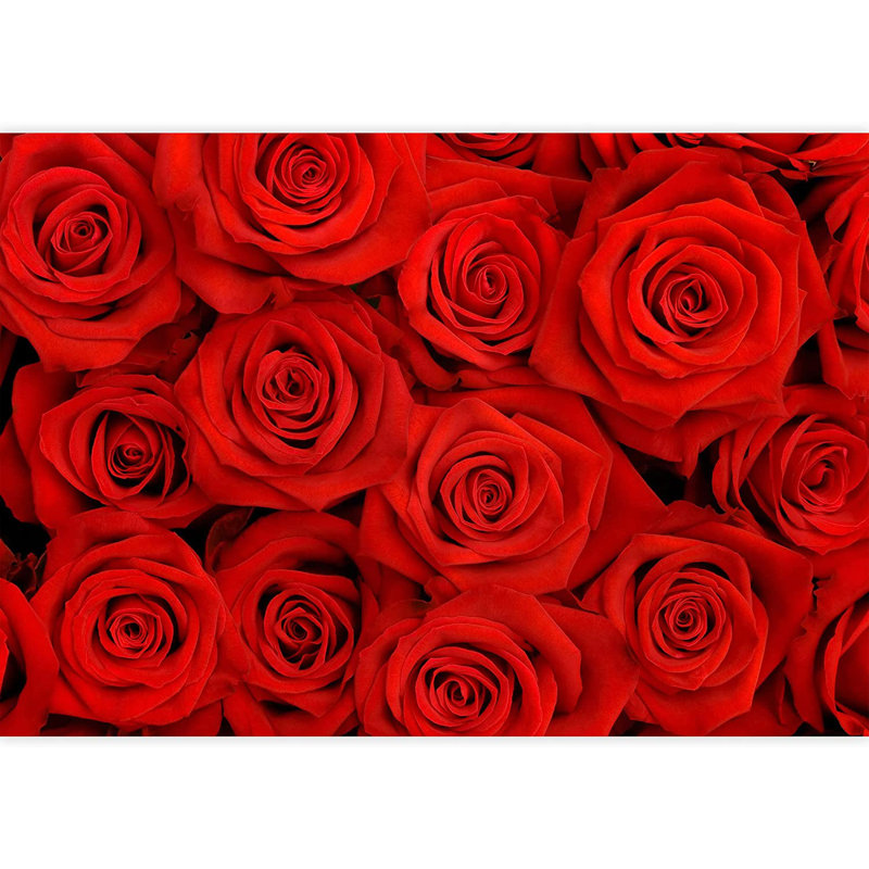 Murale à peindre Elegant Rose Flower M17 L 5 pi 6 po x l 96 po, L 100 po x l 144 po