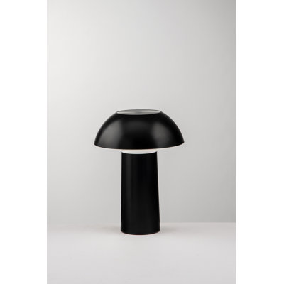 Camrynn Desk Lamp