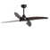 Ceiling Fan with LED Lights