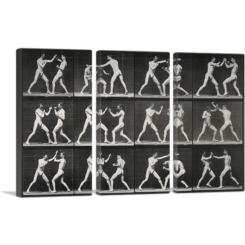 " Two Men Boxing 1887 " by Eadweard Muybridge 3 - Pieces, 40" H x 60" W x 1.5" D