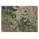 Tapis Flara