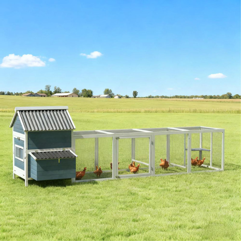Poulailler pour 10 à 15 poulets