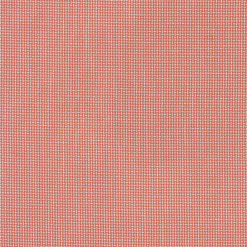 Phineas Fabric