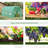 15' X 6' X 7' Walk-In Tunnel Greenhouse Garden Plant Growing House With Door And Ventilation Window-123375688-123375689