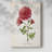 Botanical III -Gallery Wrapped Cavas