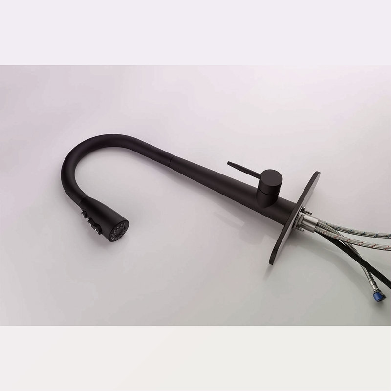 Single Handle Stainless Steel Kitchen Sink Faucet With Pull Down Sprayer, Matte Black