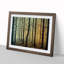 An Enthralling Forest - Framed Print-1442809897-1442809903