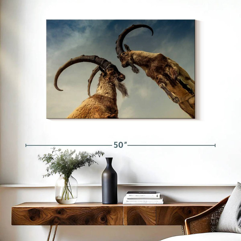Brampt Goat Clash, 26" H x 39" W