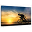 Silhouette de vélo Sireci-107687745