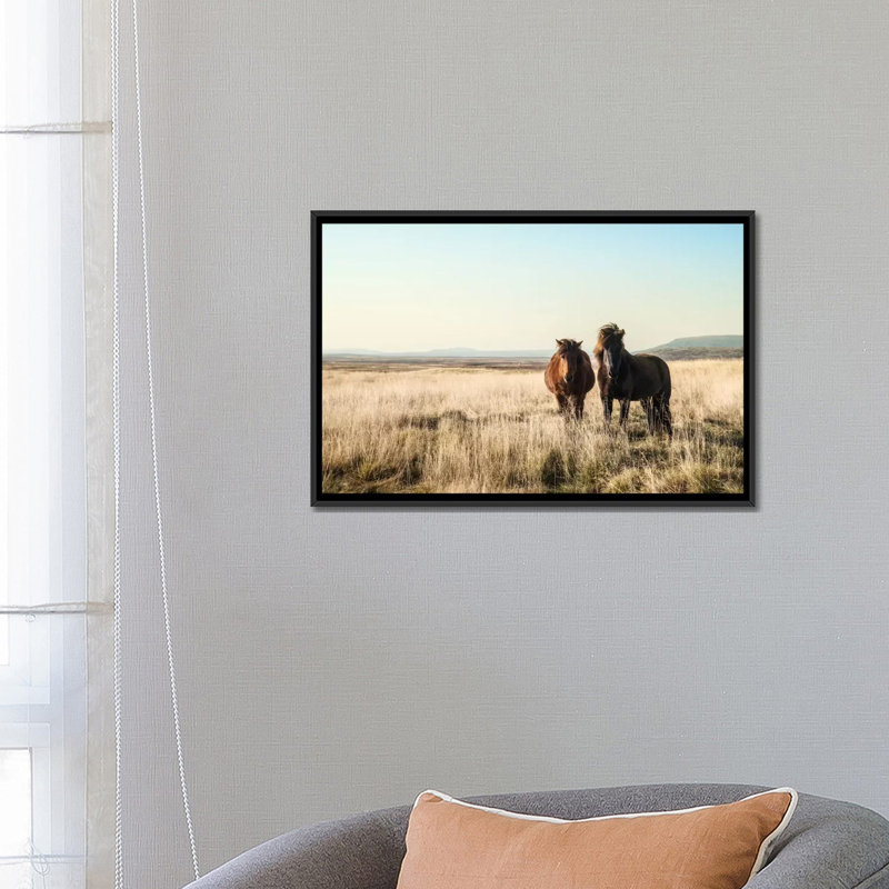 « matinée graze », reproduction de photo sur toile, H 18 po x l 26 po x P 1,5 po, Toile avec cadre flottant noir