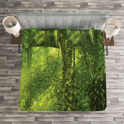 Bedspread Set with Shams