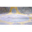Haefner Floral Indoor Rug-1008277095