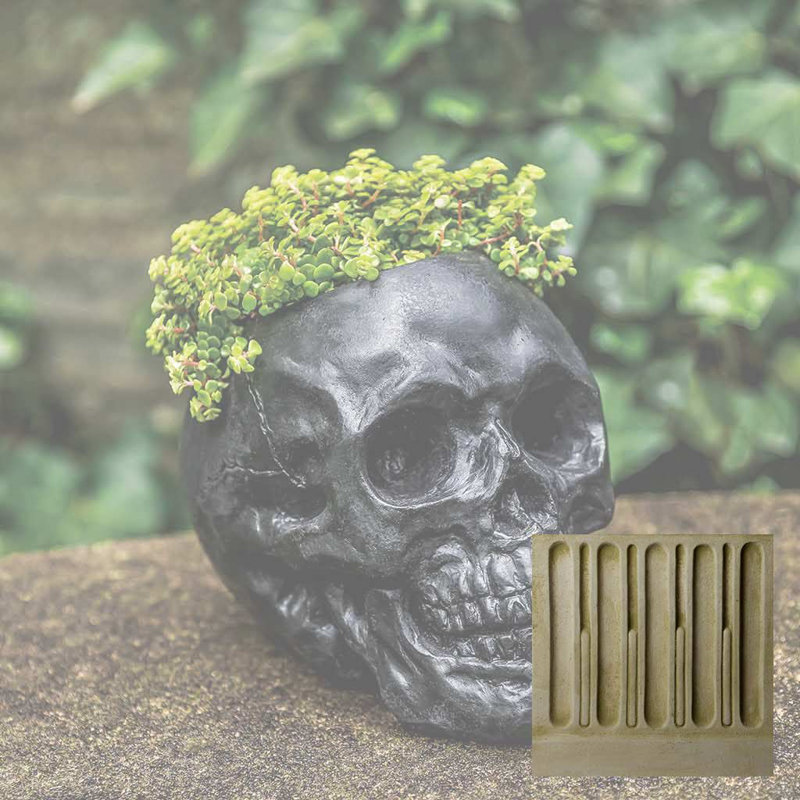 Pot à fleurs Skull, Mousse anglaise