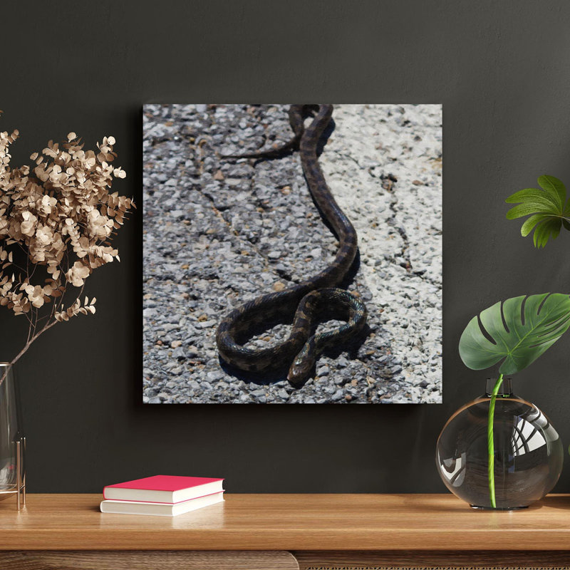 Serpent noir et brun sur un plancher de béton - peinture sur toile tendue, H 32 po x l 32 po