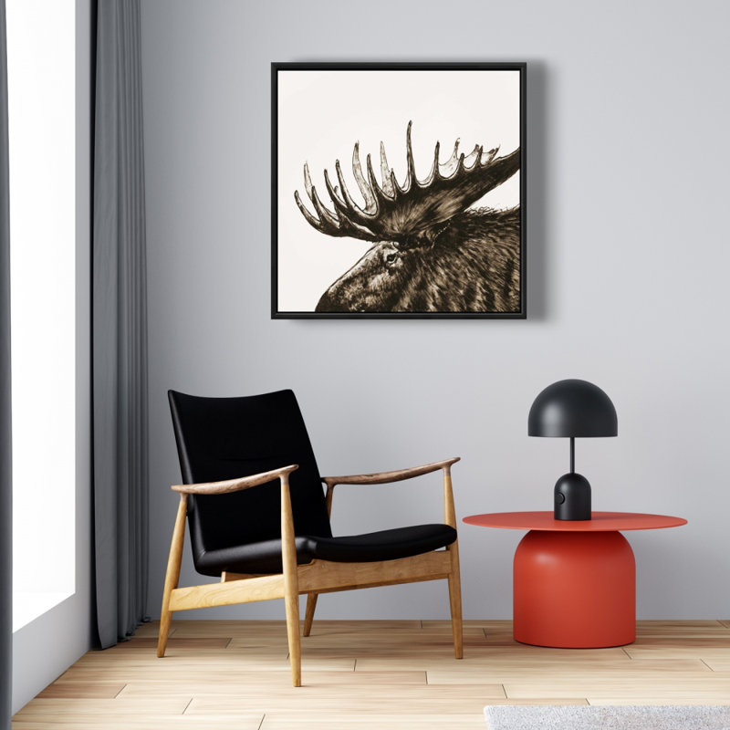 " Moose Plume Sepia "