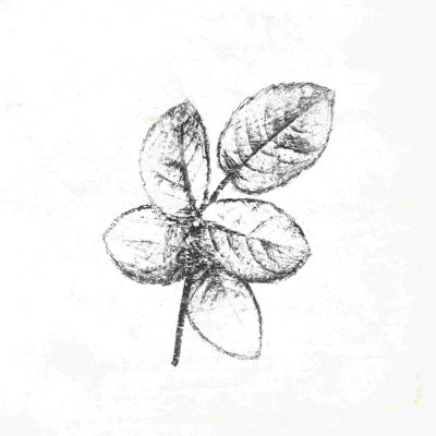 Feuille croquis