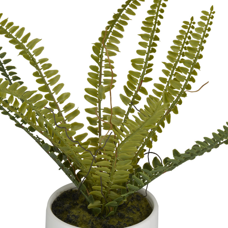 Plante à feuillage artificiel 12,15 po en pot
