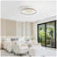 19 Inch RGB Dimmable Led Enclosed Ceiling Fan With Light Flush Mount Bladeless 6 Speed Remote Control For Bedroom Party