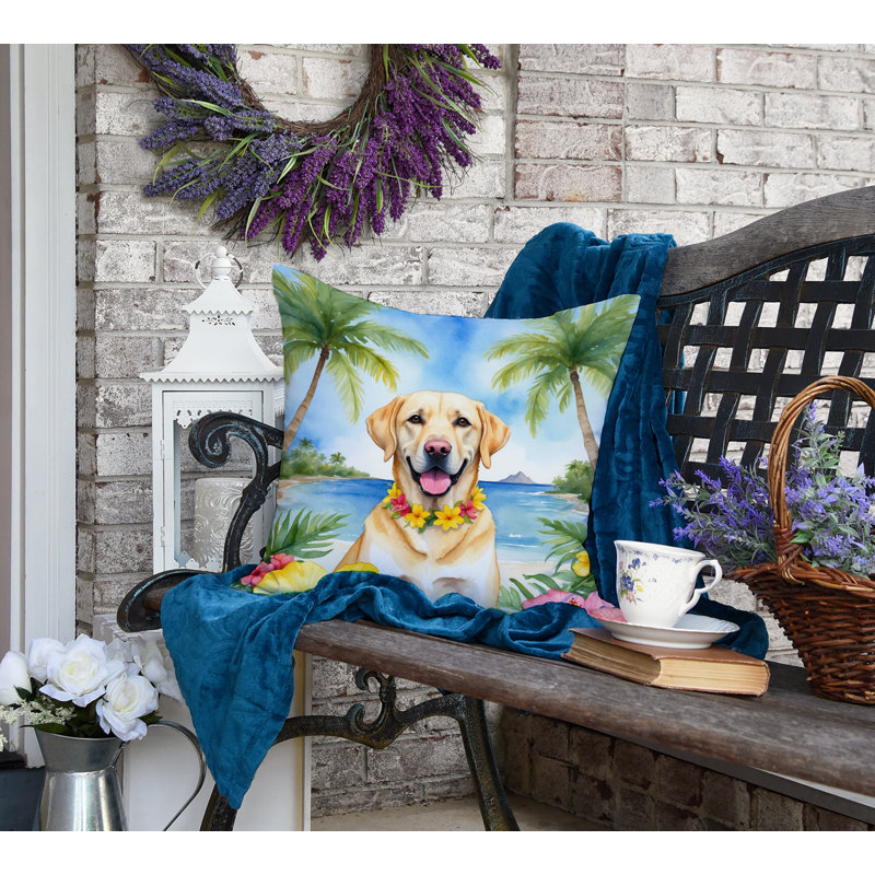 Other/No Pattern Outdoor Throw Pillow, 18"H x 18"W