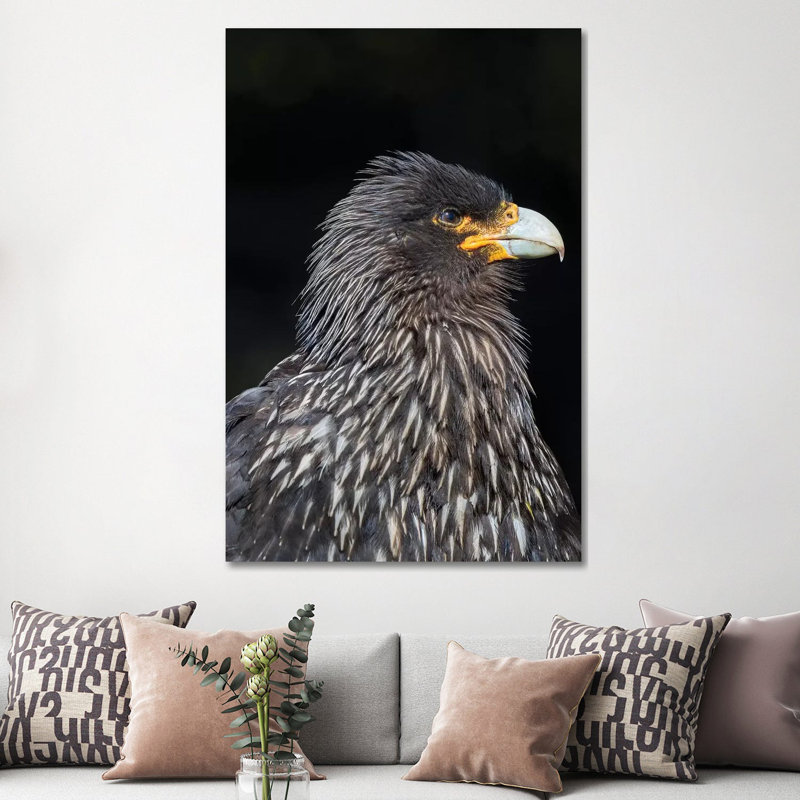 Falkland Caracara Or Johnny Rook, Protected And Highly Intelligent Bird Of Prey. Falkland Islands by Martin Zwick - Wrapped Canvas Gallery-Wrapped Canvas Giclée