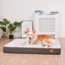 Best Extra Small Gucci Themed Pet Bed for sale in Lake Elsinore, California  for 2023