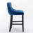 Contemporary Leisure Barstools