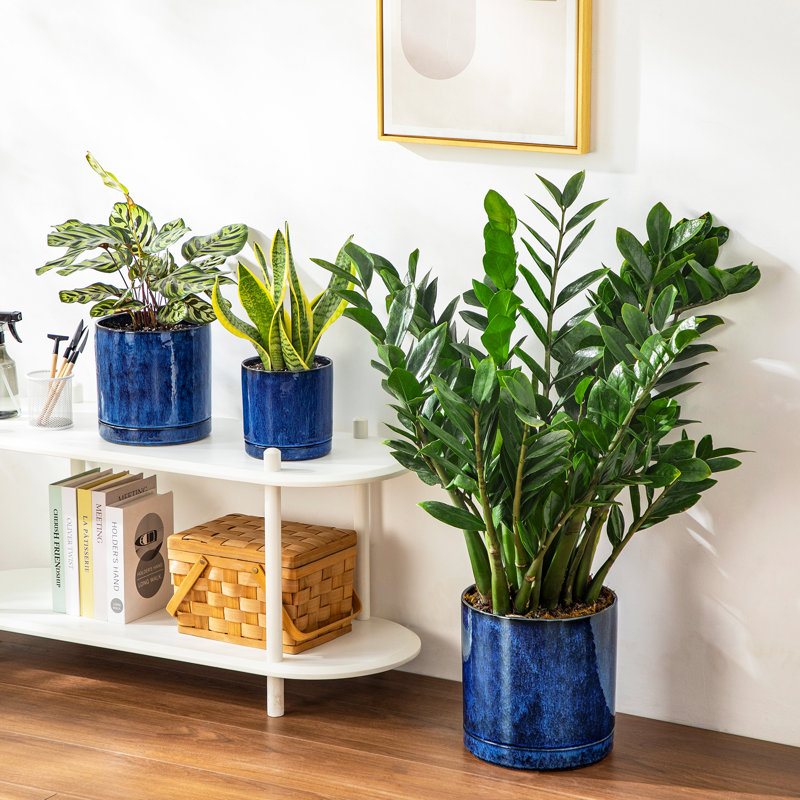 FLHPOT Ceramic Pot Planter, Blue