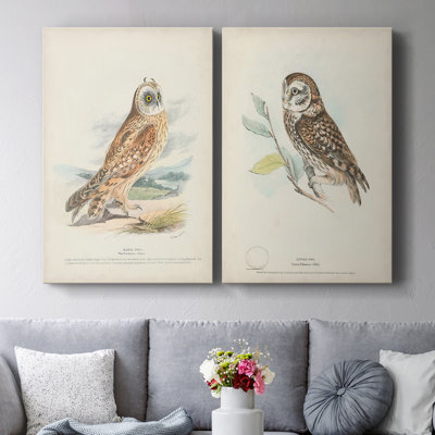 Hawk Owl-Premium Gallery Wrapped Canvas -Ready to Hang