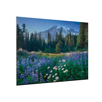 " Mount Rainier " by Alan Majchrowicz
