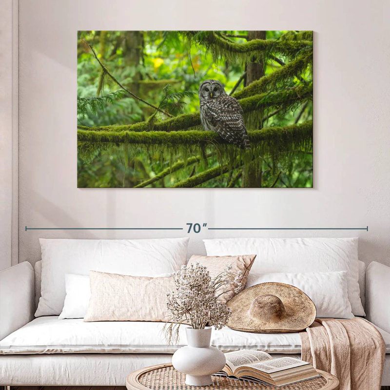 Hibou moussu Brampt, H 32 po x l 48 po