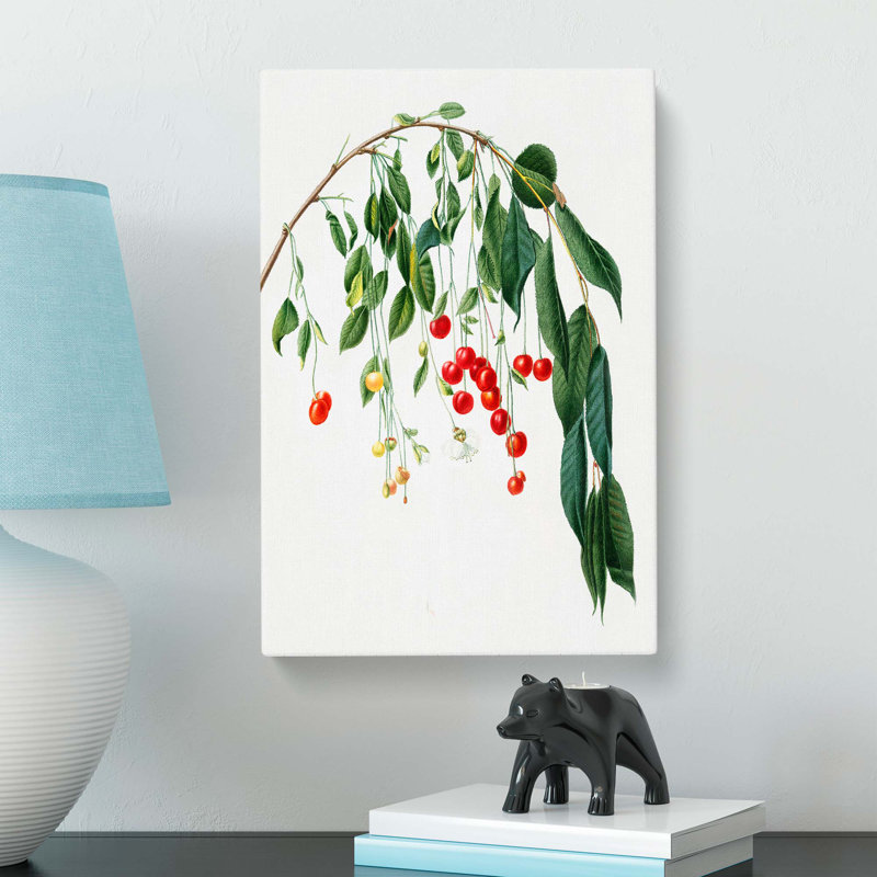 Visciola Cherry Tree by Giorgio Gallesio - Wrapped Canvas, 76cm H x 50cm W x 3cm D