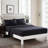 Dayville Microfiber Solid Colour Sheet Set-29203325-29203327