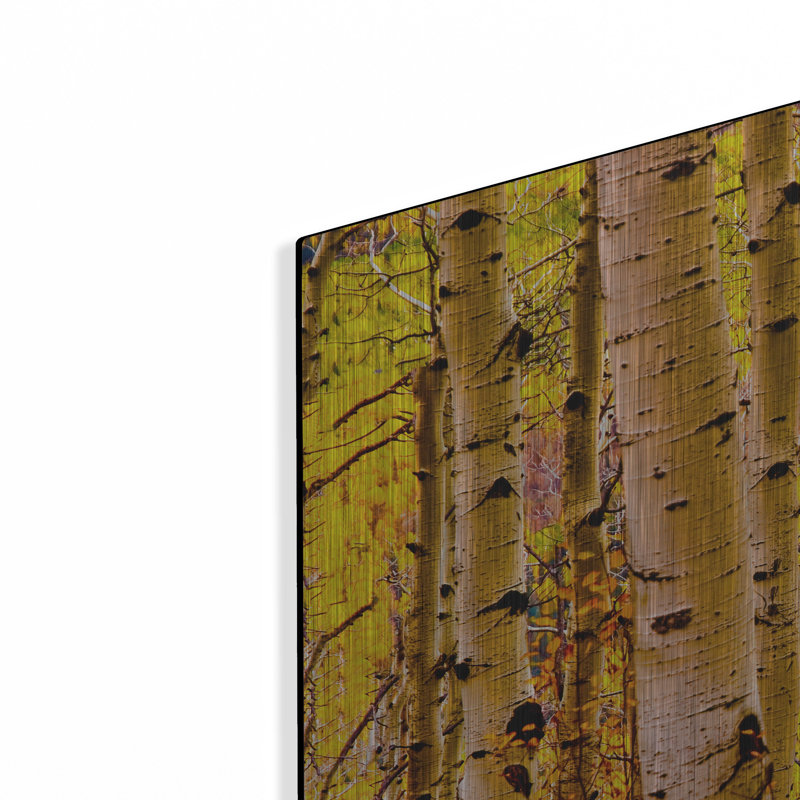 «Aspen Autumn» par Mark A Paulda, H 24 po x l 36 po