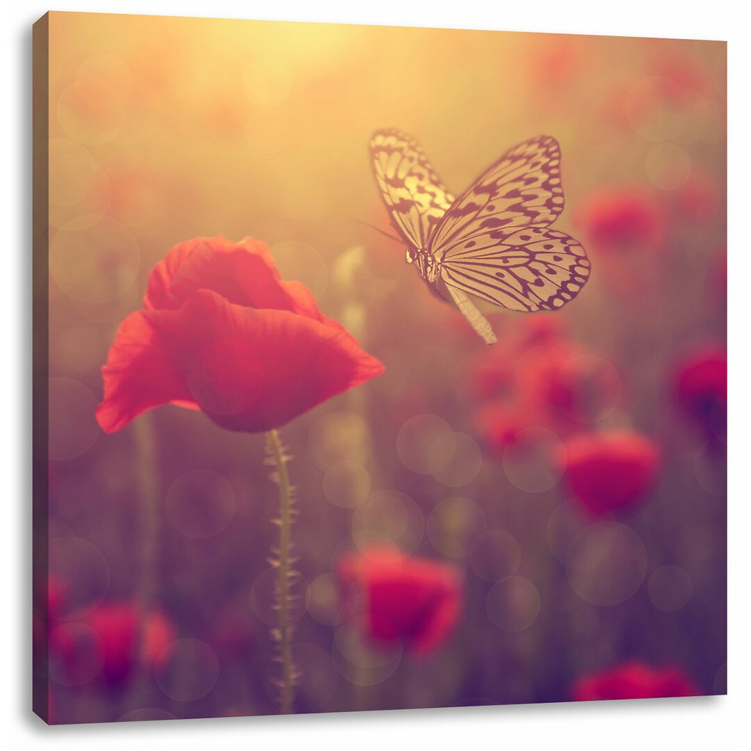 Leinwandbild Mohn und Schmetterling