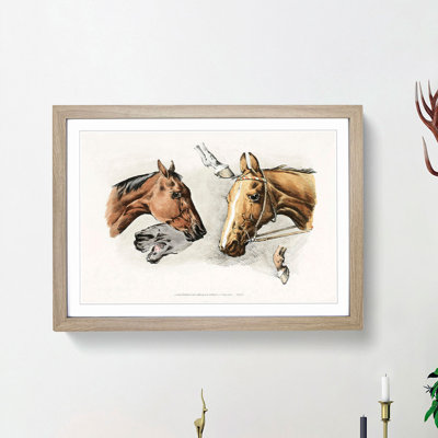 Horse Heads and Hoofs by Henry Alken - Picture Frame Painting Print