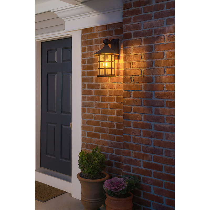 Elivia Aluminum Wall Light, 15.3" H x 10" W x 11.3" D, Black, MED