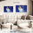 Brampt Puppy Bath Time-108076418