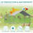 Cinderford Chicken Run-916536068