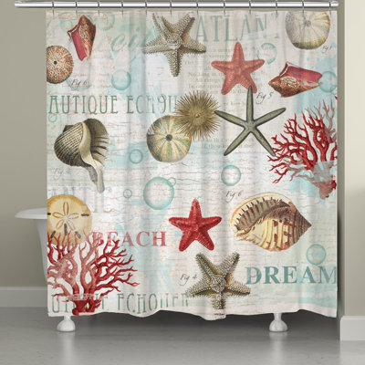 Hager Dream Beach Shells Single Shower Curtain