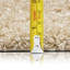 Riam Machine Woven Beige Indoor Rug-36122645