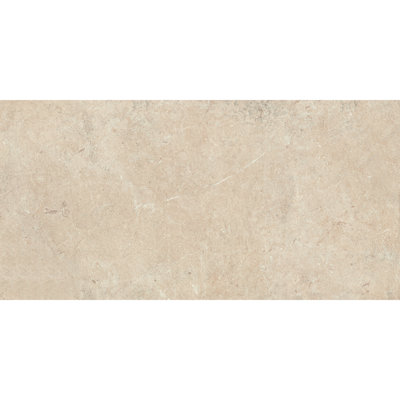 Daltile Courier 24 x 48 Colorbody Porcelain Paver Tile (1 PC Per Carton) (7.75 SQFT Per Carton)