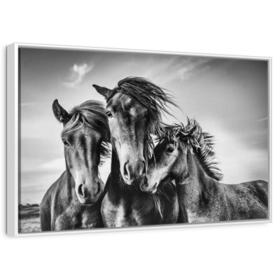 Chevaux Lemvig