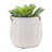 Rosaria Ceramic Hanging Planter-1340959064-1290618981