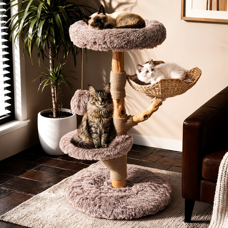 Arbre à chat en bois massif Artisan, Beige